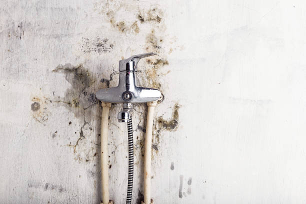 Best Mold Testing  in Kemah, TX