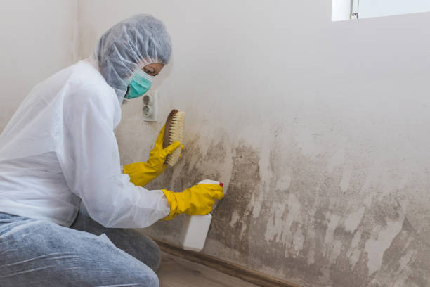 Crawl Space Mold Removal in Kemah, TX