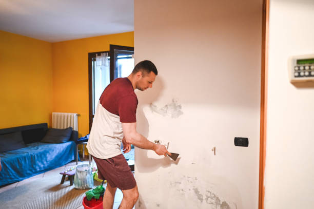 Best Office Mold Removal Services  in Kemah, TX